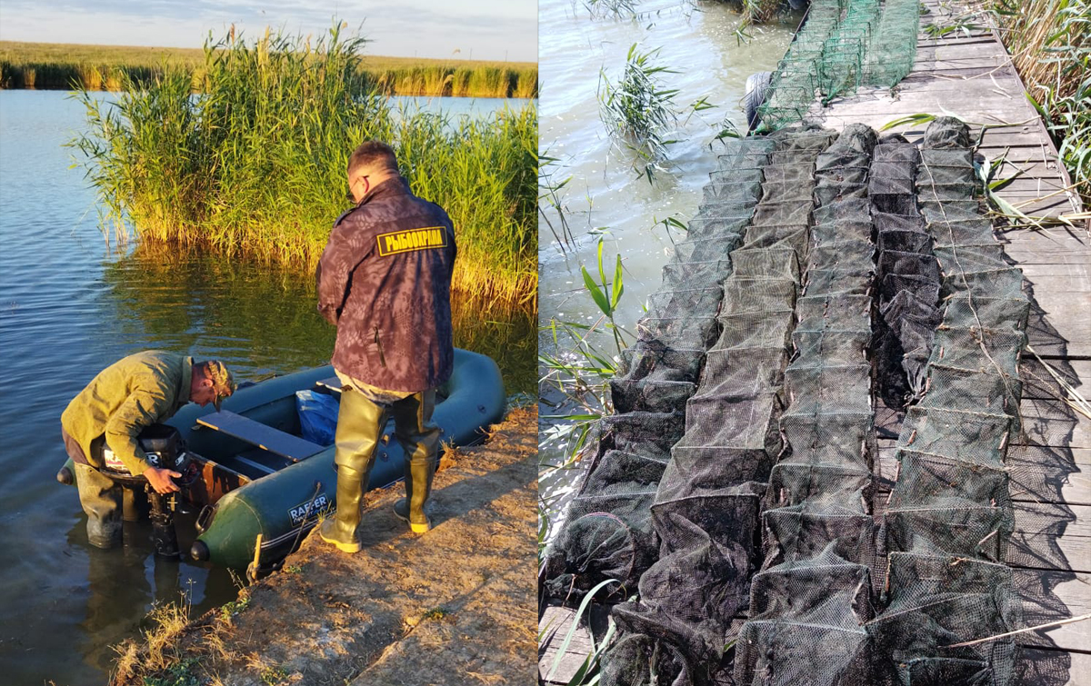 Казаки Сальского округа СКВРиЗ провели совместные мероприятия по выявлению нарушения правил рыболовства