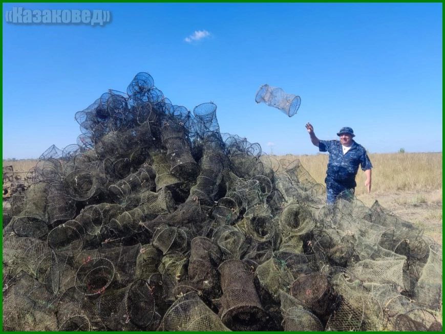 На защите природы